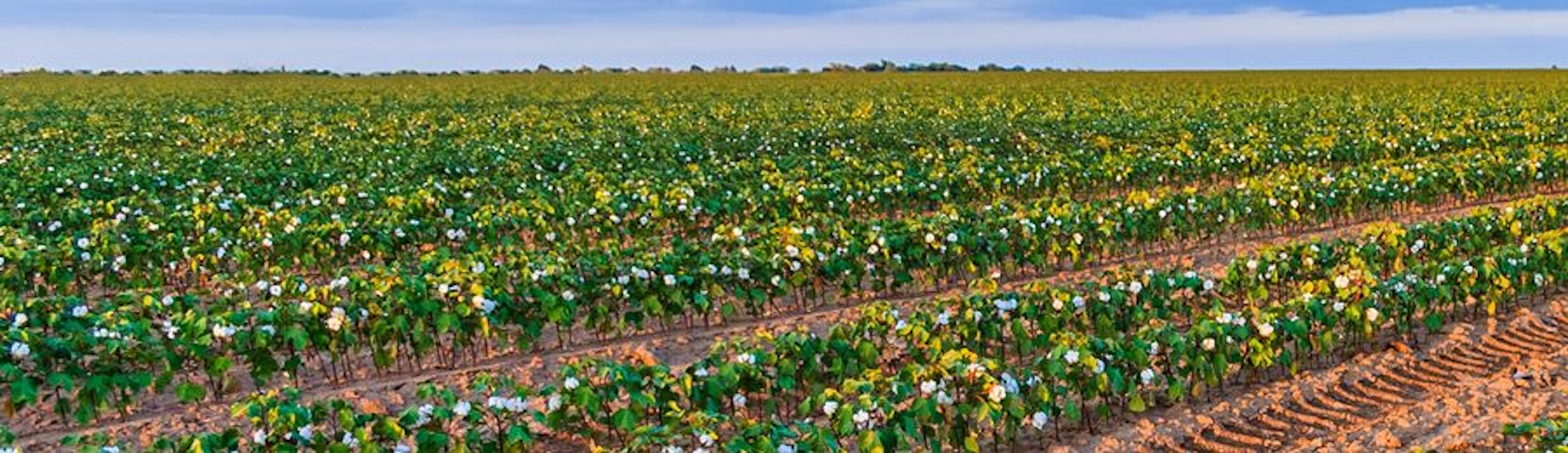 Two employees standing in front of their coffee shop